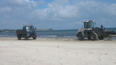 Mog am Strand2.JPG