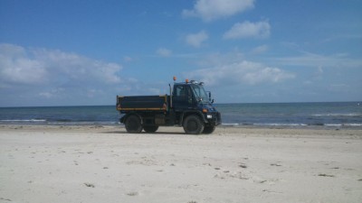 Mog am Strand1.JPG