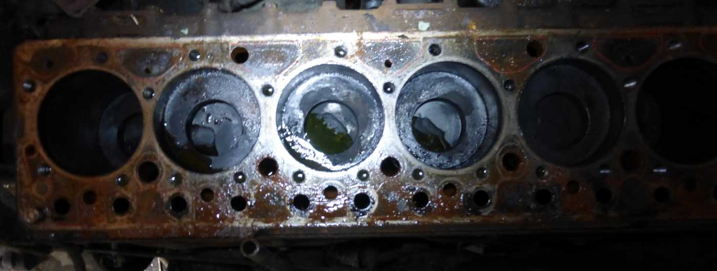 Monster 40-14-09.jpg