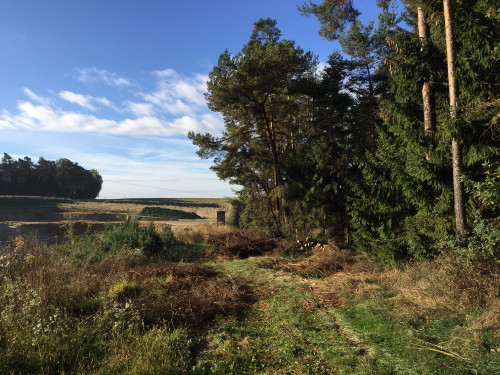 Arbeiten bei schönem Wetter ist keine Arbeit...