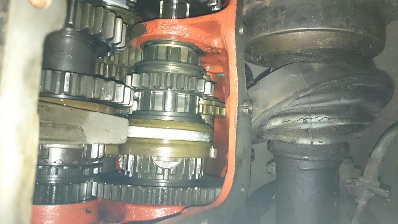 DSC_0899[1] (Copy).JPG