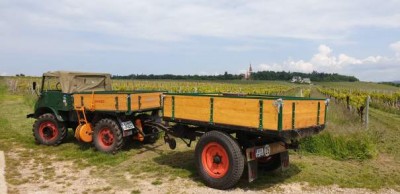 erste Testfahrt im Weinberg