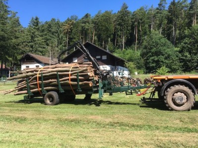 Beim Holztransport