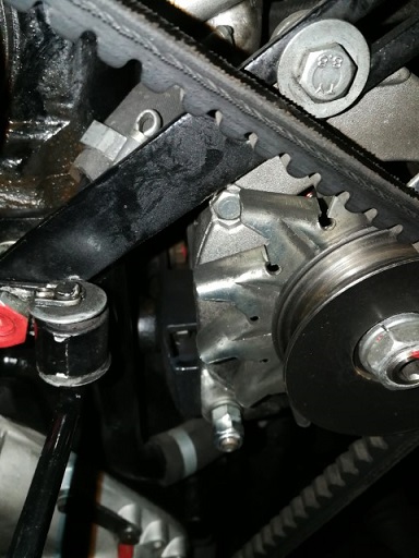 IMG_20201019_190043 (Klein).jpg