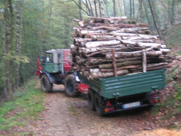 Forst1 + MÃ¼ller-Mitteltal mit Holz 023k.JPG