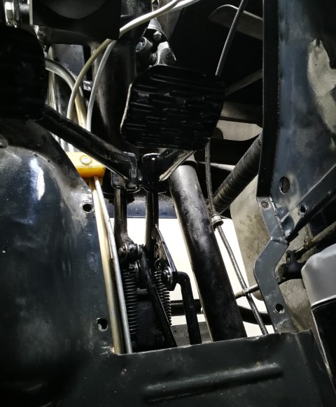 IMG_20210425_131344 (Klein).jpg