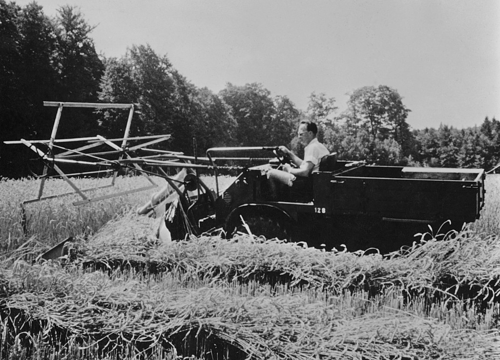 Unimog Baureihe 411 mit Schwadmäher bei der Getreideernte