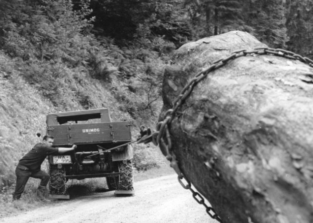 Unimog Baureihe 411 beim Rücken von Baumstämmen mit der Heckseilwinde